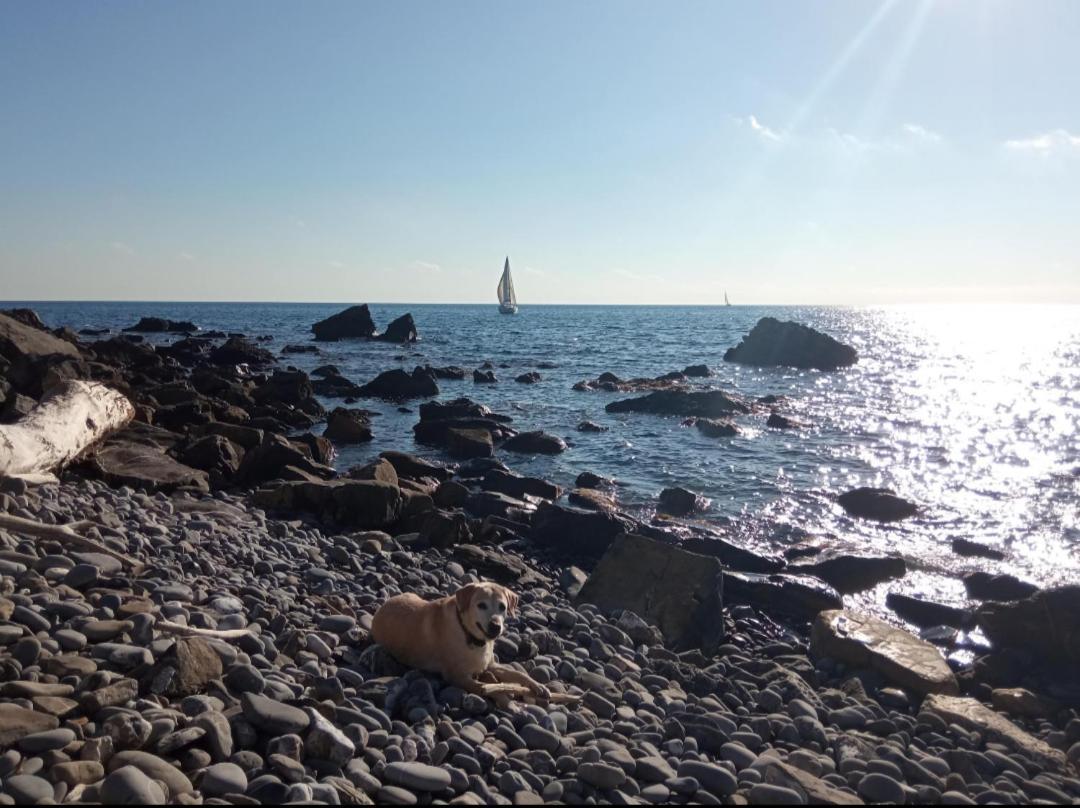 Cluxury-Torre Dei Saraceni Boutique Apt By The Sea Beach, Pool,Private Jacuzzi, Parking شيرفو المظهر الخارجي الصورة